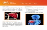 ROTATOR CUFF TEAR - The Physio Movement...ROTATOR CUFF TEAR !!!!! CLINICAL PRESENTATION: There may be moderate to severe pain at the time of injury. Pain with overhead activities,