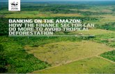 BANKING ON THE AMAZON: HOW THE FINANCE SECTOR CAN … · Amazon biome: cattle ranching, mechanised and small-scale agriculture, hydropower dams, infrastructure, timber extraction,