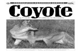 For-37: Coyote: Managing Coyote Problems in Kentucky · 2017-10-10 · 3 In the last 30 years the coyote (Canis latrans) has gradually spread throughout the eastern United States