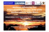 Wetlands influencing river biogeochemistry: the case study ... · Wetlands influencing river biogeochemistry: the case study of the Zambezi and the Kafue Rivers AFRIVAL Project (AfricanRiver