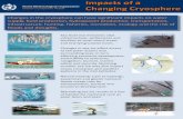 Impacts of a World Meteorological Organization Global ... · World Meteorological Organization Changing Cryosphere Global Cryosphere Watch Changes in the cryosphere can have significant