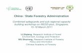 China / State Forestry Administration · China / State Forestry Administration Combined safeguards and sub-regional capacity ... - to promote the development of an ES market in China.