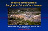 Infective Endocarditis: Surgical & Critical Care Issues · Surgical & Critical Care Issues Michael Clyde Doll, MPAS, PA-C, FAPACVS, DFAAPA Cardiac Surgery mdoll@geisinger.edu. Incident