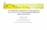 An epigenetic approach to understanding (and predicting ... seminar august... · Pre-MBT 2.5 hpf MBT 3.5 hpf Post-MBT 5.3 hpf Lindeman et al., 2010. PLoS ONE Lindeman et al., 2010.
