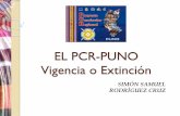 EL PCR-PUNO Vigencia o Extinciónugelpuno.edu.pe/web/wp-content/uploads/2019/08/PONENCIA...enfoque curricular se ha ido perfilando paulatinamente. El PCR ha nacido como emergente y