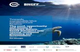 Towards sustainable blue infrastructure · Towards sustainable blue infrastructure finance: The need, opportunity and means to integrate Nature-based Solutions into coastal resilience