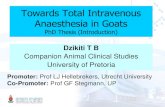 Towards Total Intravenous Anaesthesia in Goats TB_PhD Thesis Complete.pdf · Introduction Benefits of TIVA • Balanced anaesthesia – ‘Triad of anaesthesia’ fulfilment (unconsciousness,