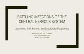 BATTLING INFECTIONS OF THE CENTRAL NERVOUS SYSTEM · BATTLING INFECTIONS OF THE CENTRAL NERVOUS SYSTEM Organisms, Risk Factors, and Laboratory Diagnostics Blake W. Buchan, PhD, D(ABMM)