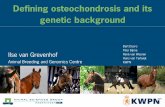 Defining osteochondrosis and its genetic background · 2010-11-26 · Defining osteochondrosis and its genetic background Ilse van Grevenhof Animal Breeding and Genomics Centre Bart