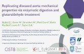 Section information Replicating diseased aorta mechanical .../file/Chris_Noble.pdf · 1 Section information Replicating diseased aorta mechanical properties via enzymatic digestion