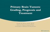 Primary Brain Tumors: Grading, Prognosis and Treatmenttumors increased until 1987. –Elderly with largest increase. –Increased across all groups. • Increase in diagnosis roughly
