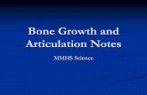 Bone Growth and Articulation Notes...Oppositional Growth 1. Chondrocytes in the epiphyseal plate divide (via Mitosis). 2. They are repaced by bone on the diaphysis side of the plate.
