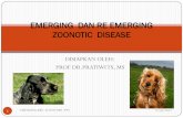 EMERGING DAN RE EMERGING ZOONOTIC DISEASEpratiwi.lecture.ub.ac.id/files/2012/12/emerging-and-re-upload.pdf · EMERGING DAN RE EMERGING ZOONOTIC DISEASE ... health problems & are now