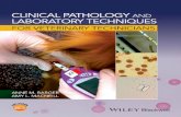 Clinical Pathology and - download.e-bookshelf.de · 2 Clinical Pathology and Laboratory Techniques for Veterinary Technicians Case example 2 A glass slide with dried blood on it was