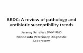 BRDC: A review of pathology and antibiotic susceptibility ... · •Trends in bacterial pneumonia remain constant. •Resistance to the tetracyclines appear to be rising. •Resistance