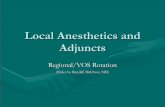 Local Anesthetics and Adjuncts - prd-medweb-cdn.s3 ... · Local Anesthetics- Pharm 102 • Protein Binding – Duration (alpha1 acid glycoprot, albumin) – >p.b = > duration –