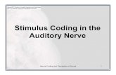 Stimulus Coding in the Auditory Nerve Harvard-MIT Division of … · 2019-09-12 · Auditory-Nerve Anatomy • Cross sections of the auditory nerve (AN) show an homogeneous bundle