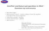 ComPair and future perspec2ves in MeV Gamma-ray astronomy · Alexander Moiseev SciNeGHE-2016 21 AMEGO • We already realized that the use of GLAST and other ﬂown instruments heritage