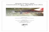 Alouette Sockeye Adult Enumeration Project …a100.gov.bc.ca/appsdata/acat/documents/r50803/16.ALU.03...Alouette Sockeye Adult Enumeration Project– (Bridging Year 2015) 16.ALU.03