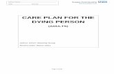 CARE PLAN FOR THE DYING PERSON - Sussex Community NHS … › ... › eolc-careplan-dyingperso… · Support the dying person to drink if they wish and are able to. Check for any