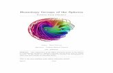 Homotopy Groups of the Spheres - Glannabijou/HomotopyProject.pdf · 2018-09-19 · 1 HIGHER HOMOTOPY GROUPS loops in X. Then fgis equal to the composition S1!S1 _S1!X where the rst