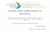 Climate smart coffee systems in East Africacsa2015.cirad.fr/var/csa2015/storage/fckeditor/file/L2.3e...• Climate change adaptation also means developing other livelihood options