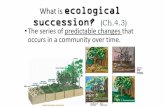 What is ecological succession? (Ch.4.3)pnhs.psd202.org/documents/gbrest/1511972726.pdfEcological Succession? Clearin the land for the garden and preparing the soil for plan Ing represents
