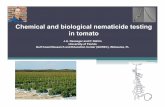 Chemical and biological nematicide testing in tomatoswfrec.ifas.ufl.edu/docs/pdf/veg-hort/tomato-institute/...Chemical and biological nematicide testing in tomato 2 tomato field trials