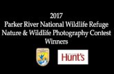 2017 Parker River National Wildlife Refuge Nature & …Parker River National Wildlife Refuge Nature & Wildlife Photography Contest Winners Image Judging Criteria Technical: • Exposure