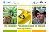 The impact of Panama Disease on banana shipment patternscoollogisticsresources.com/asia/wp-content/uploads/sites/... · 2018-02-08 · The impact of Panama Disease on banana ... Latin