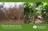 Climate Smart Cocoa...Climate smart cocoa is a way to achieve long-term, sustainable production and development in light of climate change pressures. •Increase productivity and income