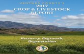 Ventura County’s 2017 CROP & LIVESTOCK REPORT · 2018-12-14 · 1 Agricultural Commissioner’s Letter 2 ... fuel and electricity bills, bank loans or land leases, insurance, taxes,