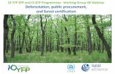 10 YFP SPP and CI-SCP Programmes - Working Group 4B ... · 10 YFP SPP and CI-SCP Programmes - Working Group 4B Webinar Deforestation, public procurement, ... 10YFP SPP Programme biennial