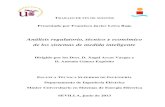 TRABAJO DE FIN DE MÁSTER - Universidad de Sevillacatedras-etsi.us.es/endesared/documentos/trabajo_master/... · 2014-05-23 · AGRADECIMIENTOS En primer lugar, he de agradecer a