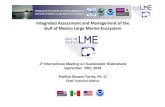 2º International Meeting on Sustainable Watersheds September · Evaluación y Manejo integral Gran Ecosistema Marino del Golfo de México Integrated Assessment and Management ot
