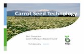 Carrot Seed Technology - Bejo CorporateCarrot Seed Technology Carrot Symposium 2017 Bert Compaan Seed Pathology Research Lead. Seed Technology Research production testing disinfection