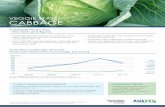 VEGGIE STATS: CABBAGE - AUSVEG VEGGIE STATS: CABBAGE â€¢ Cabbage growersâ€™ returns, on average, have