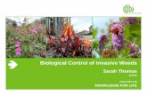 Biological Control of Invasive Weeds · 2019-11-05 · and diseases our activities . ... The suitability of the Mycosphaerella leaf-spot as biocontrol agent also being assessed .