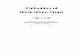 Cultivation of Horticulture Crops · carrot, Otofuke Town, eastern Hokkaido Table 3-4. Comparison of output of vegetable produced in Hokkaido and other prefectures Vegetable Output