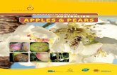integrated pest management for Australian apples & pears · affects the pest species, leaving beneficial insect populations to develop normally. In this case, mating disruption will