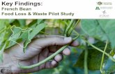 French Bean Food Loss & Waste Pilot Study · • Improve resource use efficiency for French bean production and commercialization • Improve overall supply chain efficiency, stability