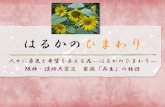 はるかのひまわりmariko-inochi.com › jinshouji › hanazono › sunflower.pdfはるかのひまわり 人々に勇気と希望を与える花―はるかのひまわり―