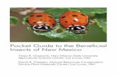 Pocket Guide to the Beneficial insets of New Mexicoaces.nmsu.edu › pubs › insects › docs › Beneficial_Insects.pdfbeneficial insects that can help keep pest insects under control