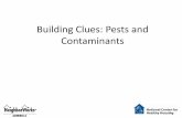 Building Clues: Pests and Contaminants › wp-content › uploads › 2015 › 0… · Pesticides Can Cause: ... “Managing pests” is the correct expressio\൮ and the one that