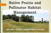 Native Prairie and Pollinator Habitat Management...Native Plant Communities Creating and Maintaining a wide variety of Pollinator Habitats in the Upper Midwest Growing, installing
