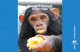 Domain 3: Animals Activity Pages · Use your eyes to look at each animal’s face— Our sense of sight lets us look all over the place. Cats and puppies, gerbils too, Use two eyes