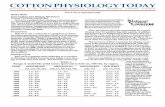Cotton Physiology Today · 2011-10-26 · COTTON PHYSIOLOGY TODAY Newsletter of the Cotton Physiology Education Program -- NATIONAL COTTON COUNCIL Vol. 5, No.8, September 1994 BOLL