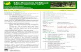 The Winston Whisper › content › dam › doe › ... · 2019-10-27 · The Winston Whisper Winston Hills Public School . Hillcrest Ave, Winston Hills 2153 . T: 96398518 F ... Working