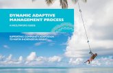 DYNAMIC ADAPTIVE MANAGEMENT PROCESS · The Dynamic Adaptive Management Process (DAMP) handbook is ... extreme weather events. ... A tool that can aid decision-making in complex situations.