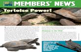 The Official WCS Members’ Newsletter May/Jun 2015 Tortoise …fscdn.wcs.org/2015/04/15/2vnp9voncw_MN_MayJun_2015.pdf · 2015-04-15 · In Latin America, WCS works to safeguard several
